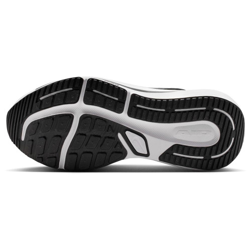 Nike Winflo 12